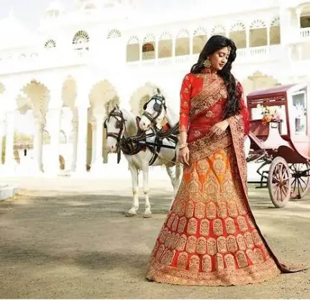 https://radhedesigner.com/images/thumbs/000/0007586_multi-work-lehenga-choli-bollywood-dress-stylist-design_450.webp