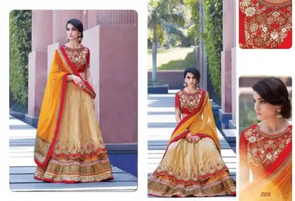 Picture of multi work lehenga choli with beautiful nylon net dupa,