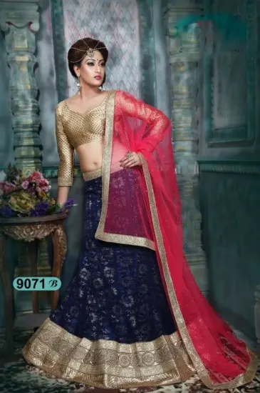 Picture of net and velvet lehenga,ghagra choli catingchaniya chol,