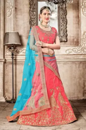 Picture of net brasso lehenga,lehenga ratechaniya choli,choli,lehe