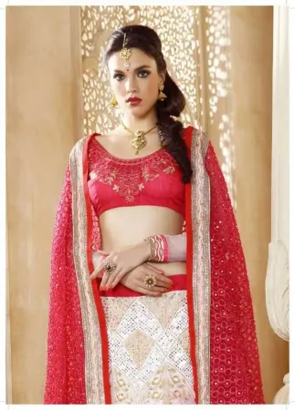 https://radhedesigner.com/images/thumbs/000/0007625_net-embroidered-designer-lehenga-choli-fancy-ethnic-pa_450.webp