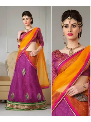 Picture of net embroidered lehenga choli,lehenga photoschaniya cho