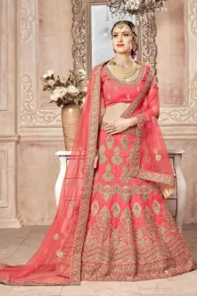 Picture of net embroidered lehenga,lehengas picchaniya choli,choli