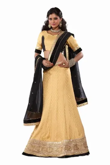 Picture of net flared lehenga choli,t shirt lehengachaniya choli,c