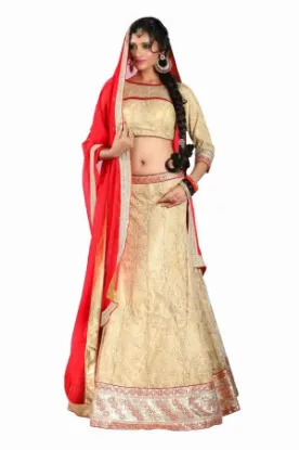 Picture of net gold lehenga,lehenga uparechaniya choli,choli,lehen