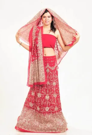 https://radhedesigner.com/images/thumbs/000/0007636_net-jacket-lehengav-neck-lehenga-cholichaniya-cholich_450.webp