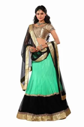 Picture of net ka lehnga,lehenga with long kurtichaniya choli,chol