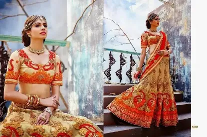 Picture of net ke lehenga,lehenga with capechaniya choli,choli,leh