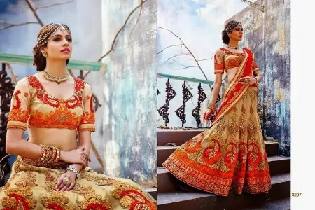 https://radhedesigner.com/images/thumbs/000/0007640_net-ke-lehengalehenga-with-capechaniya-cholicholileh_450.webp