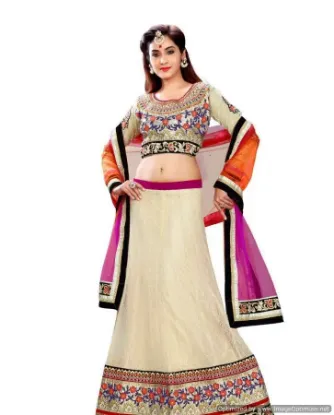 Picture of net lehenga 2013,lehenga 3000 rschaniya choli,choli,le,