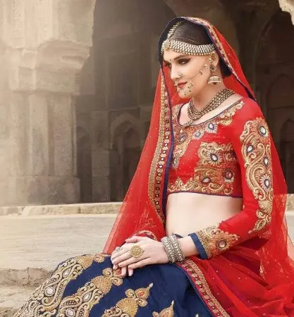 https://radhedesigner.com/images/thumbs/000/0007644_net-lehenga-2024lehenga-3-in-1chaniya-cholicholileh_450.webp