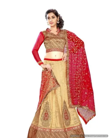 https://radhedesigner.com/images/thumbs/000/0007646_net-lehenga-2024lehenga-30000chaniya-cholicholilehe_450.webp