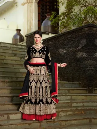 Picture of net lehenga 2024,lehenga 30000chaniya choli,choli,lehen