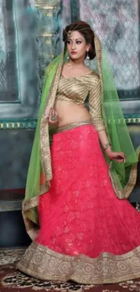 Picture of net lehenga 2024,lehenga 360chaniya choli,choli,leheng,