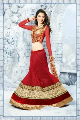 Picture of net lehenga 2024,lehenga 360chaniya choli,choli,lehenga