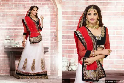 Picture of net lehenga choli,lehenga in mumbaichaniya choli,choli,