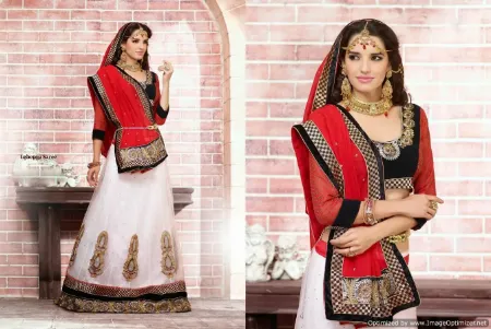 https://radhedesigner.com/images/thumbs/000/0007672_net-lehenga-cholilehenga-in-mumbaichaniya-cholicholi_450.webp