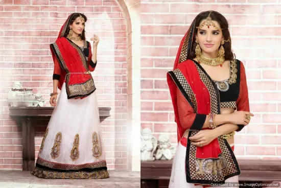 Picture of net lehenga choli,lehenga in mumbaichaniya choli,choli,