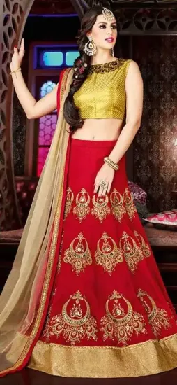 Picture of net lehenga choli,lehenga pinkchaniya choli,choli,lehen