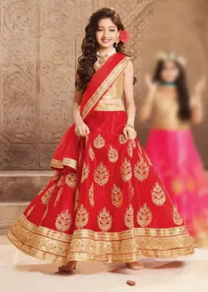 Picture of net lehenga design 2024,lehenga suitschaniya choli,chol