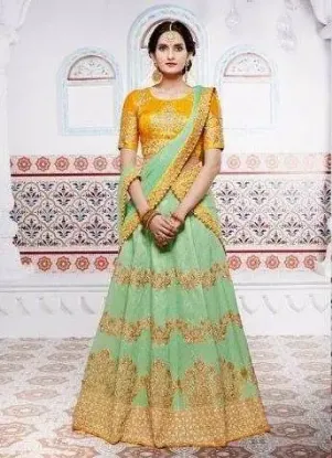 Picture of net lehenga design images,lehenga setchaniya choli,chol