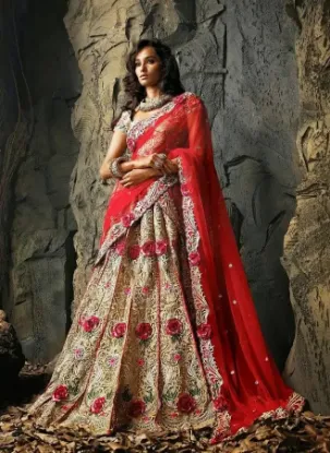 Picture of net lehenga for bridal,lehenga too longchaniya choli,ch