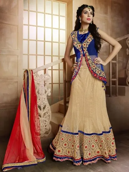 Picture of net lehenga half saree,lehenga vs sareechaniya choli,ch