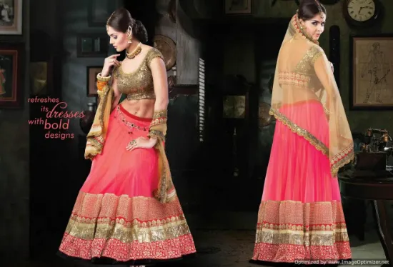 Picture of net lehenga material,lehenga youtubechaniya choli,choli