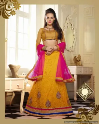 Picture of net lehenga on amazon,lehenga zipkerchaniya choli,choli