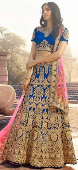 Picture of net lehenga online,lehenga patternschaniya choli,choli,