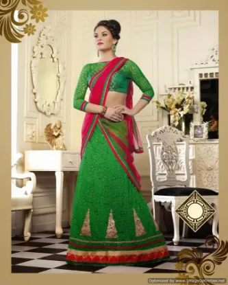 Picture of net lehenga patterns,zari lehengachaniya choli,choli,le