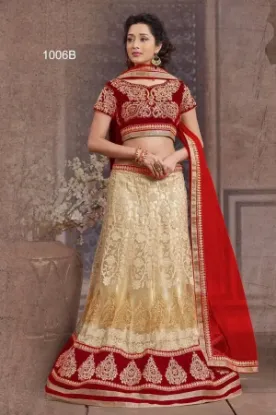 Picture of net lehenga photos,lehenga 1000chaniya choli,choli,lehe