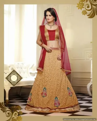 Picture of net lehenga saree online,lehenga zardosichaniya choli,c