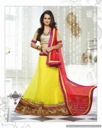 Picture of net lehenga style suit with dupatta,2 in 1 lehenga salw