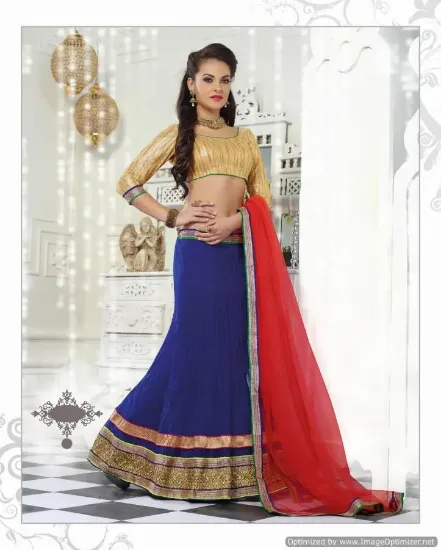 Picture of net lehenga velvet blouse,lehenga 2024chaniya choli,cho