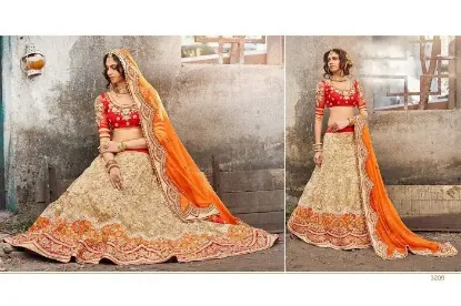 Picture of net lehenga with beach dress,2 piece lehenga sareechani