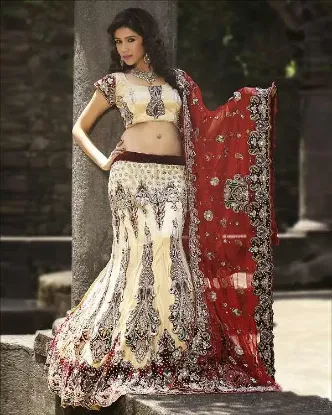 Picture of net lehenga with border,2 colour lehengachaniya choli,c