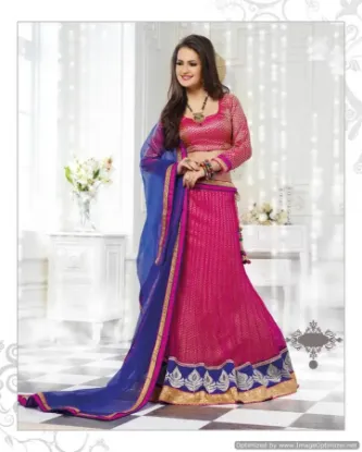 Picture of net lehenga with velvet choli,lehenga 2024chaniya choli