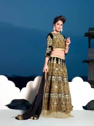 Picture of net long lehenga,lehenga for xl sizechaniya choli,choli