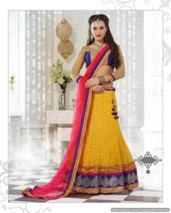 Picture of net type lehenga,2 in 1 lehenga suitchaniya choli,choli