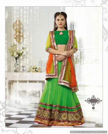 Picture of net under lehenga,lehenga 2000chaniya choli,choli,lehen