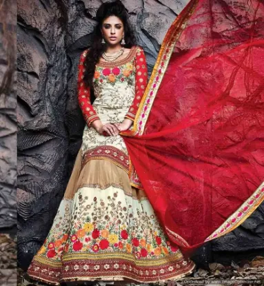 Picture of net velvet lehenga,lehenga 20000chaniya choli,choli,leh