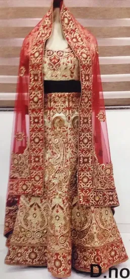 Picture of nylon net cream & red designer party wear indian women,