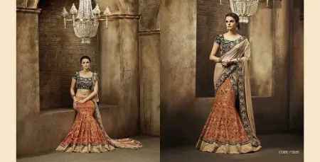 https://radhedesigner.com/images/thumbs/000/0007790_pakistani-bollywood-designer-women-indian-saree-leheng_450.webp