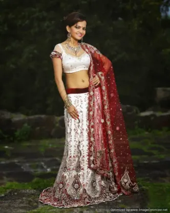 Picture of pakistani bollywood lehenga choliindian ethnic designe,