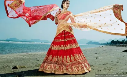 Picture of pakistani bollywood wedding lehenga choliindian designe