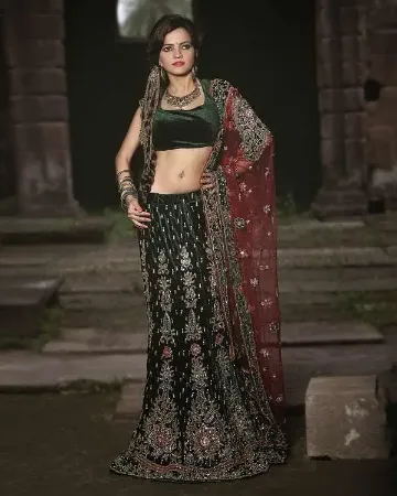 https://radhedesigner.com/images/thumbs/000/0007813_pakistani-bridal-lehenga-2012velvet-lehenga-for-bridec_450.webp