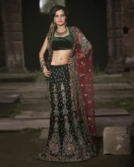 Picture of pakistani bridal lehenga 2012,velvet lehenga for bridec