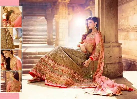 Picture of pakistani bridal lehenga 2024,velvet lehenga pinterestc