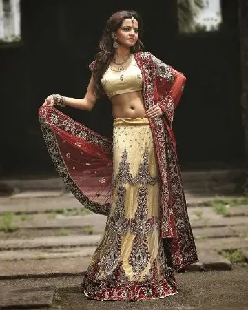 https://radhedesigner.com/images/thumbs/000/0007826_pakistani-bridal-lehenga-beach-dresss7-colors-lifestyl_450.webp